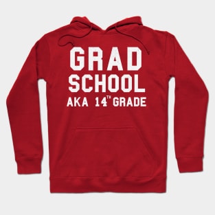 Grad School - 14th Grade Hoodie